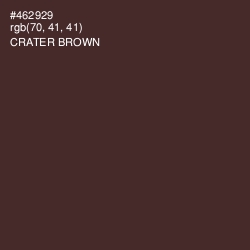 #462929 - Crater Brown Color Image